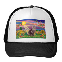 Maine-Waschbär-Katze 10 - Herbst Sun Retrokappe