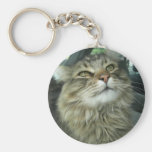 Maine-Waschbär-Miezekatze Schlüsselband
