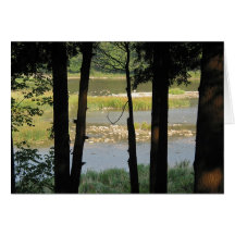Maitland Fluss-Ansicht Grußkarte