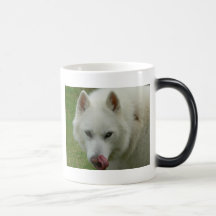 Mala Kaffee Tassen