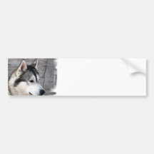 Malamute-Foto-Autoaufkleber