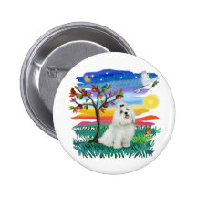 Malatese - Sun-Glühen Buttons