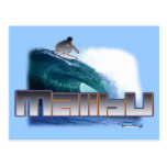 Malibu-Strand-Surfen Postkarte
