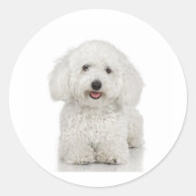 Maltesischer Hundeweiß Runder Sticker