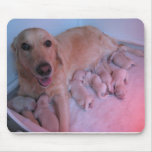 Mama und Welpen =] Mousepads