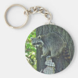 Mama-Waschbär auf Nierenfett Keychain Schlüsselband