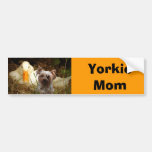 Mamma-Autoaufkleber Yorkshires Terrier