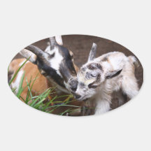 Mamma-und Baby-Ziege Sticker