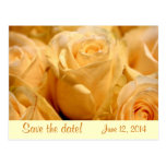 Mandarine-Rose Save the Date, die Postkarte Weddin