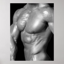 Männliches Bodybuilder-Kasten-Flexplakat