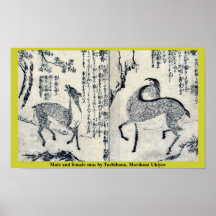 Männliches und weibliches mus durch Tachibana, Mor Plakatdrucke
