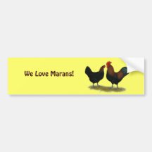 Marans schwarzes Kupfer Auto Sticker