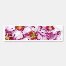Märchen Blumen Auto Aufkleber