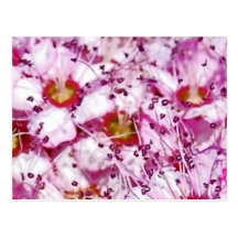 Märchen Blumen Postkarte