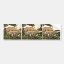 Mariazell, allgemeine Ansicht, Steiermark, Austro- Auto Sticker