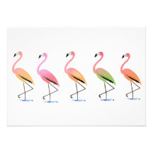 März der tropischen Flamingos Individuelle Ankündigungskarte