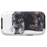 Mastiff-Samsung-Galaxie-Kasten