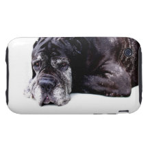 Mastiff Tough™ iPhone 3G/3GS Fall iPhone 3 Tough Etuis