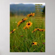 Matthew-6:28 - 29 A Vers von Komfort Posterdruck