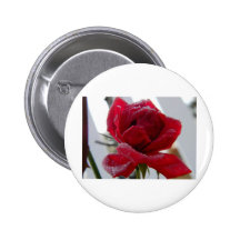 mattierte Rose Buttons