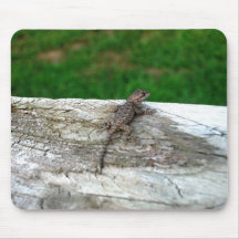 Mausunterlage - kleine Eidechse Mousepads
