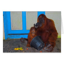 Mealtime mit Mama-Orang-Utan Grußkarte