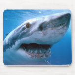 Meer 351 mousepad