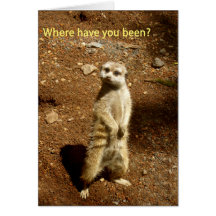 MeerkatP1010076zz Karte