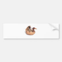 Meerschweinchen Auto Aufkleber