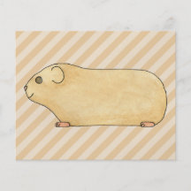 Meerschweinchen. Flyerdruck