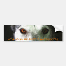 Mein alaskischer Malamute-Autoaufkleber