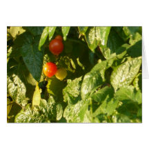 Mein Garten 06 Grußkarten