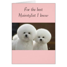 mein Haar-Stylist Grußkarten