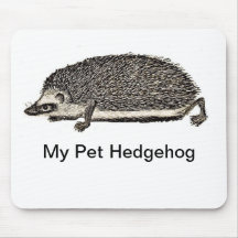 Mein Haustier-Igel Mousepads