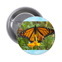 Mein Monarch Schmetterling-Knopf Anstecknadelbutton