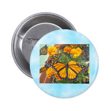 Mein Monarch Schmetterling-Knopf Anstecknadelbutton