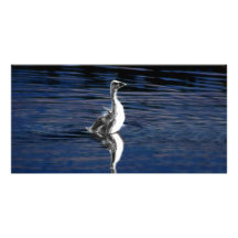 Meine kleinen Flügel Photokarten