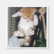 MEINE PFIRSICHE MAGNETS