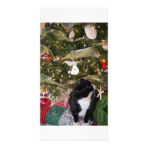 Meow-Weihnachten Photo Karte