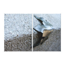 Metallblatt Galerie Faltleinwand