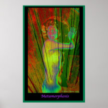 Metamorphose Posterdrucke
