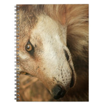 Mexikanischer Wolf Spiral Notizbuch