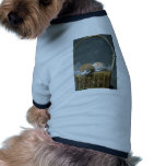 Miezekatze Hund Shirts