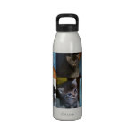 MIEZEKATZE-KATZEN-Krug Wasserflaschen