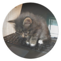 Miezekatze-Maus teller