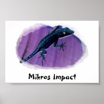 MIKROS AUSWIRKUNGS-KLEINES EIDECHSEN-PLAKAT