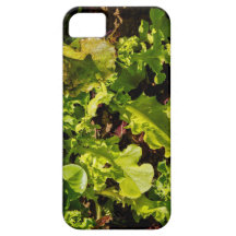 MischGrüntöne Bio iPhone 5 Fall iPhone 5 Etui