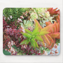Mischsucculents mousepad