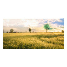Mittelwesten-Feld-Malerei Foto Grußkarte