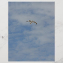 Moewe im Flug Flyer
